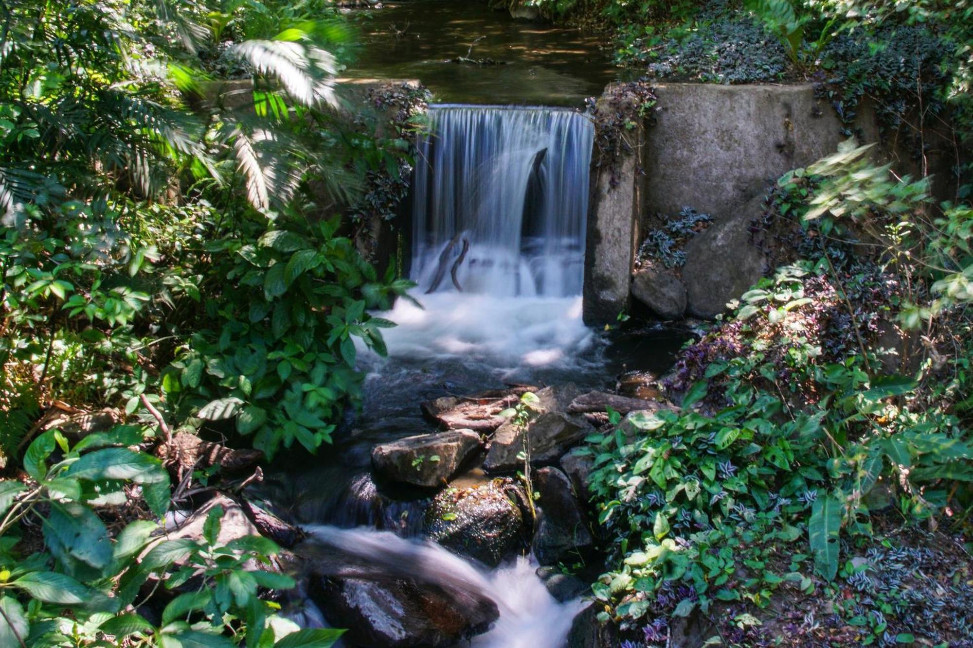 Buena Vista Del Rincon Eco Adventure Park Hotel & Spa リベリア エクステリア 写真