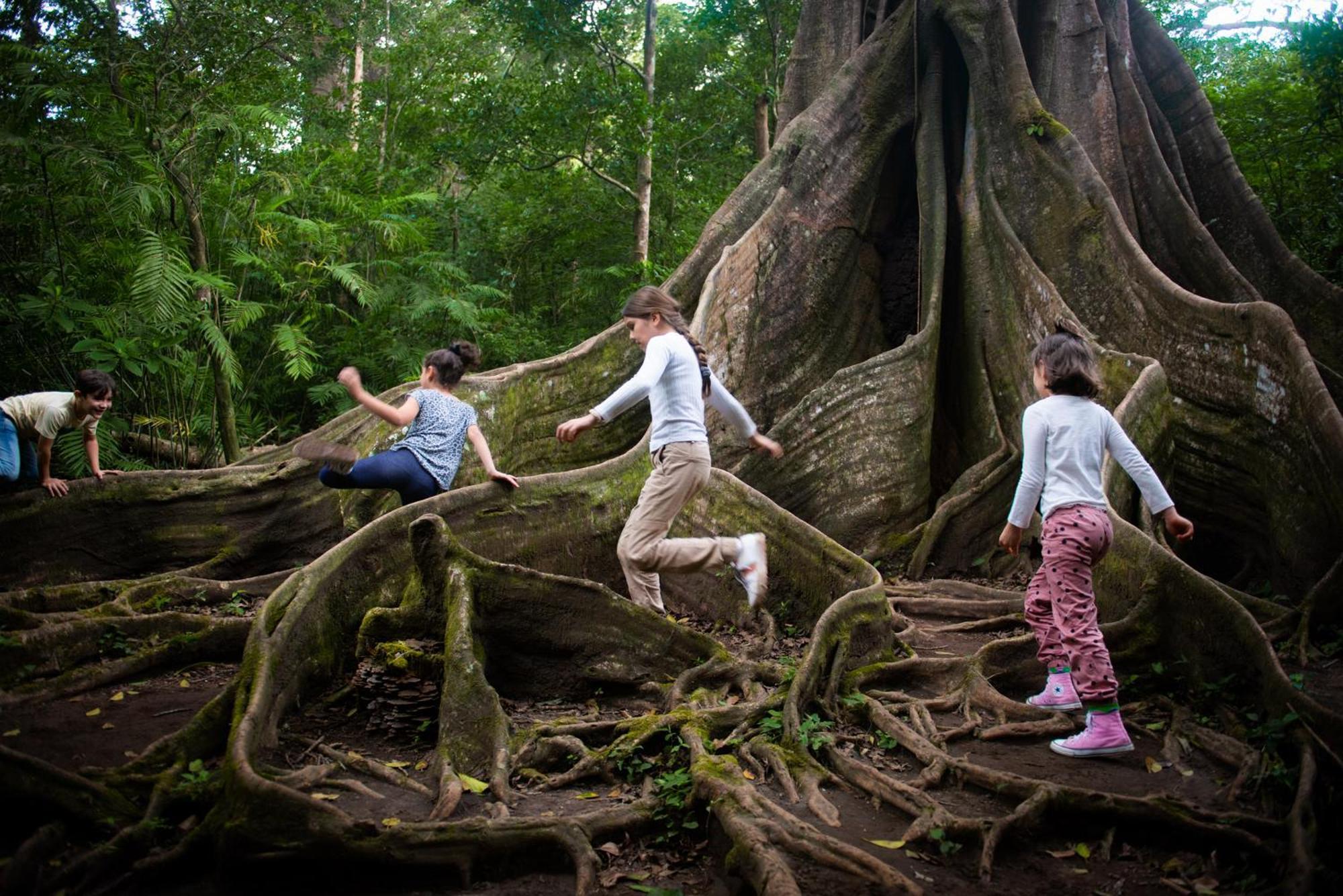 Buena Vista Del Rincon Eco Adventure Park Hotel & Spa リベリア エクステリア 写真