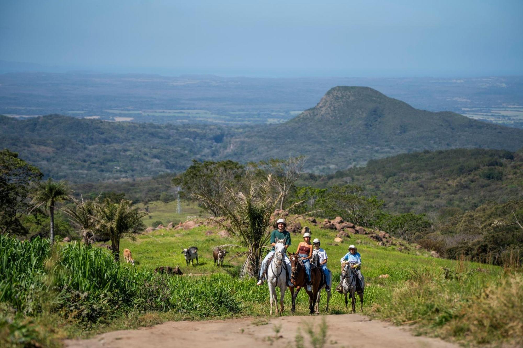 Buena Vista Del Rincon Eco Adventure Park Hotel & Spa リベリア エクステリア 写真